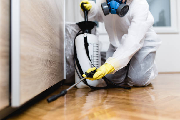 Best Pest Control Near Me in Colusa, CA