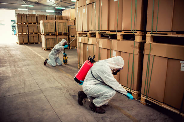 Best Insect Control  in Colusa, CA