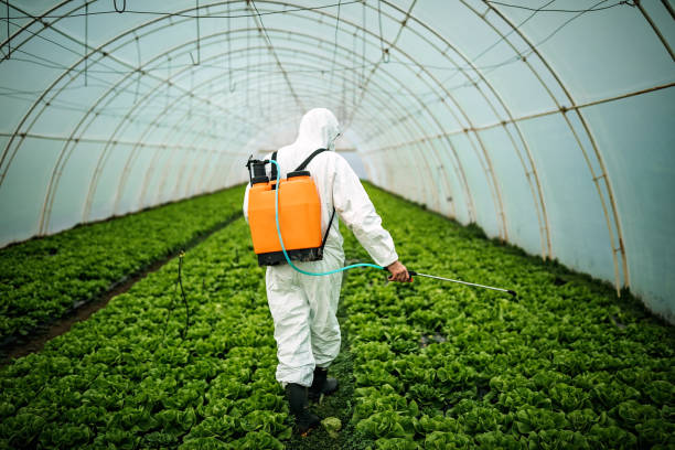 Best Pest Removal Services  in Colusa, CA