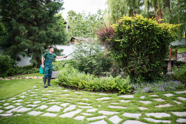 Wildlife Control Services in Colusa, CA