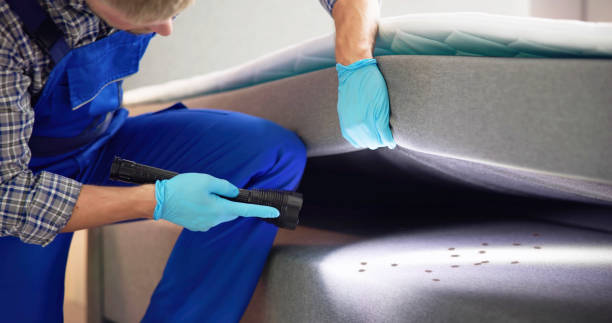 Best Residential Pest Control  in Colusa, CA