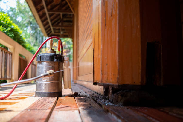 Best Exterminator Services  in Colusa, CA